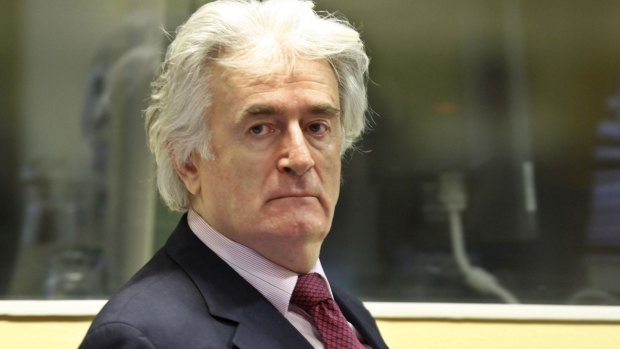 Bosnian Serb leader Radovan Karadzic at the Hague in 2009.