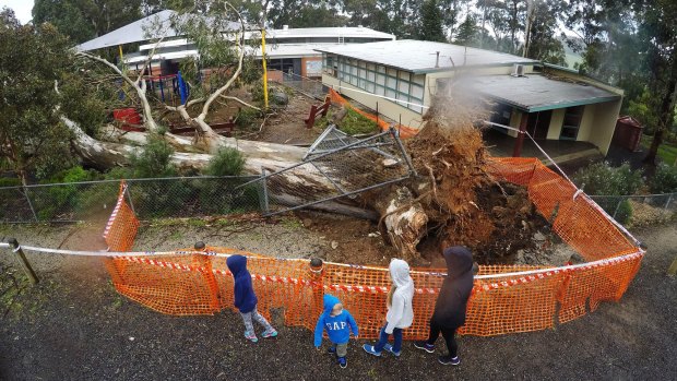Menzies Creek primary school was closed due to the storm damage on Monday.