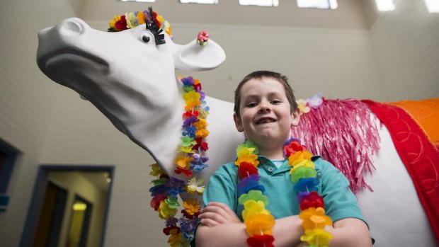Year 2 student Aiden Samuelson with the cow, decorated last week in Hawaiian "honeymooon" attire. 