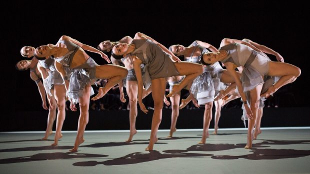  "Flattering to the bodies": Sydney Dance Company will be dressed in distinctive style for their new season.