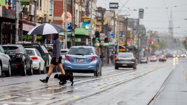 A man is pictured crossing Brunswick St Fitzroy with his dog in the rain on April 9, 2017 in Melbourne, Australia.