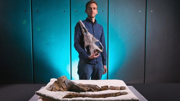 Palaeontologist Dr Felix Mark with the 25-million year old skull of Alfred the whale.