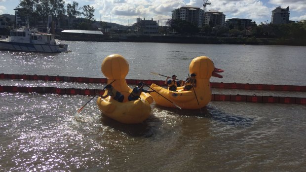 Inflatable ducks race down the Brisbane River.