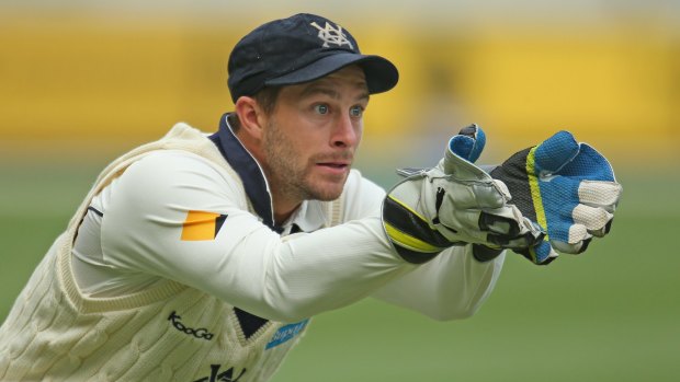 Second chance: Trevor Hohns has defended Matthew Wade's glovework after he earned selection over Peter Nevill.