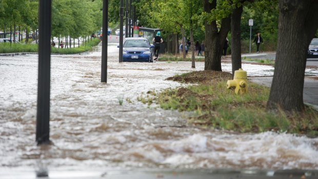 A water main bursts on Constitution Ave in Canberra.