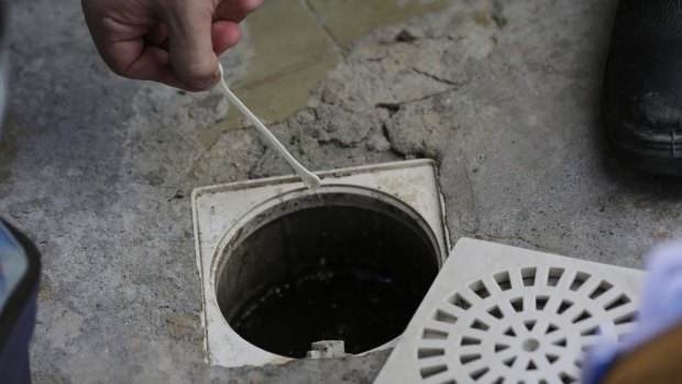 A government health agent puts larvicides into a sewage pipe inside a home during an operation to kill Aedes aegypti mosquitos in Rio de Janeiro, Brazil.
