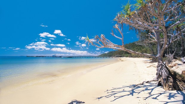 Fraser Island's fabled beaches.