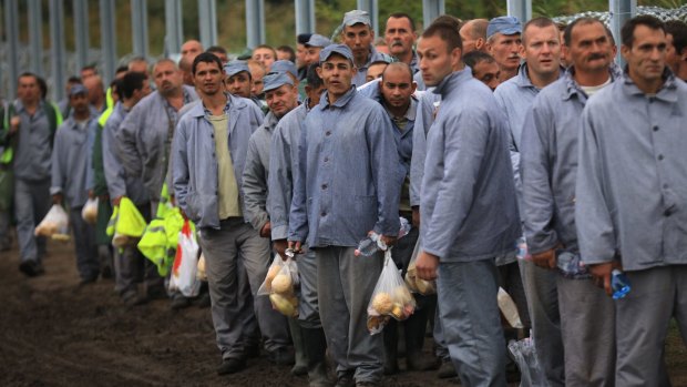 Hungarian prisoners arrive at the border to work on the razor wire border fence.