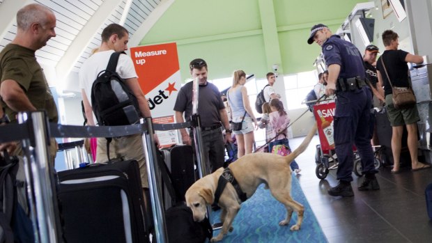 An Australian Federal Police detection dog at work in a check-in line.