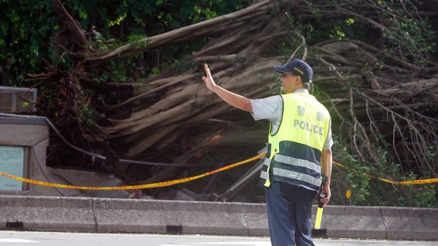 A police officer controls the traffic in front of a tree uprooted by strong winds caused by Typhoon Nesat in Taipei, Taiwan, Sunday, July 30, 2017.