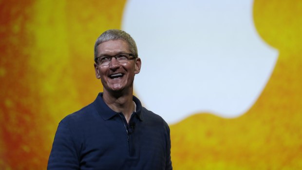 Apple executives led by Tim Cook believe the tech company is on track to record its biggest ever annual profit.