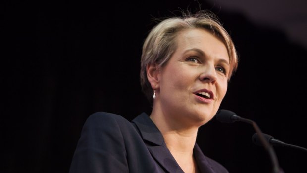 Tanya Plibersek addresses the party faithful at the Labor State Conference in Brisbane.