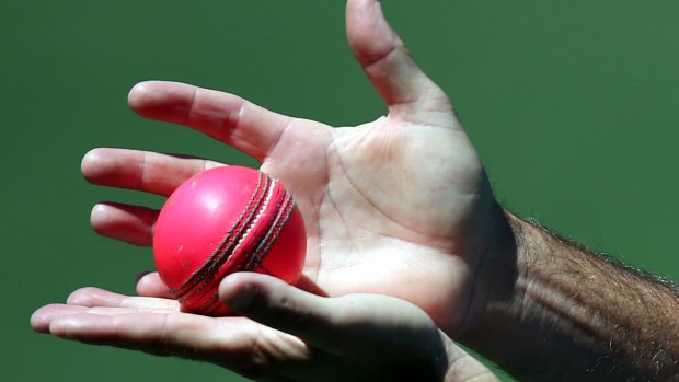 Shine on: A cricket ball is subject to all manner of substances when it is being shone, by both default and design.