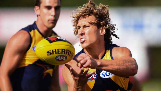 Matt Priddis doing what he does best for West Coast.