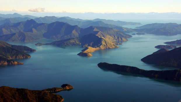 Maori legend holds that the long arms of the Marlborough Sounds were created when the warrior god Kupe fought a giant octopus.