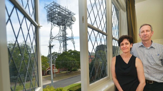 Anne Fleming and her husband Colin Peace, and the view of the tower from their Surrey Hills home.