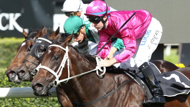 Tommy Berry rides Oklahoma Girl to victory at Randwick.
