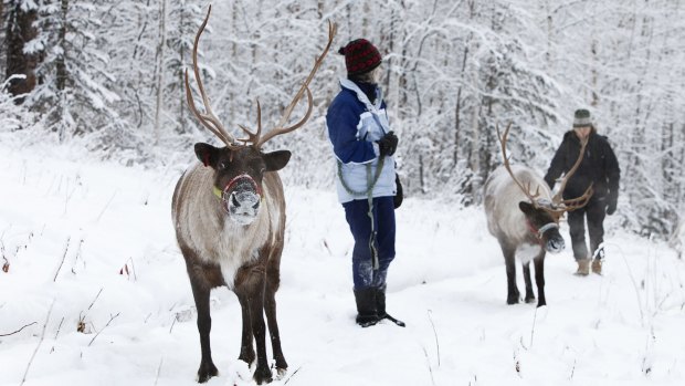 Running Reindeer Ranch in winter.