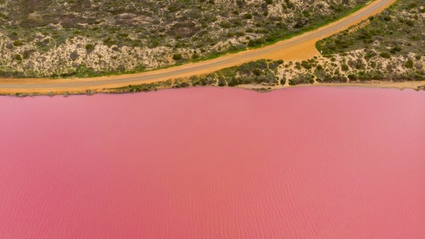 Hutt Lagoon, Western Australia.