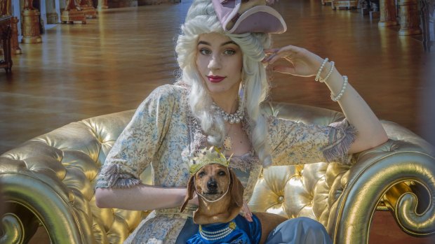 Marie Antoinette (aka Claire Mackey) and canine friend Diesel dress up in preview for the NGA's Paws for Art event.