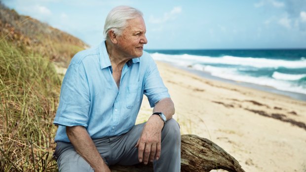 Sir David Attenborough: "We are killing the very thing upon which we live."