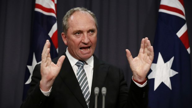 Nationals leader Barnaby Joyce was behind the APVMA's controversial forced move.