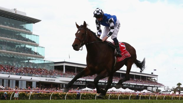 Protectionist: Vets and breeders have rejected suggestions thoroughbreds are bred without concern for their welfare.