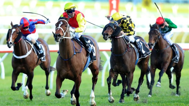 Shadow dancer: Brenton Avdulla rides Omei Sword to win the Shadow Stakes at Randwick. 