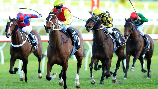 Chris Waller's smart filly Omei Sword will be a surprise starter in the Golden Rose.
