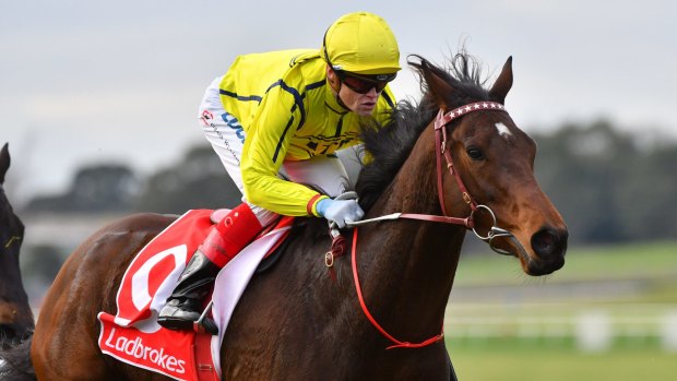 "Yogi has the potential of being a really exciting horse": Craig Williams.