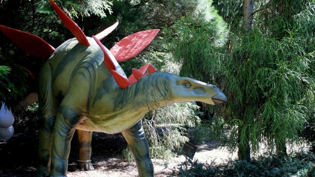 Stegosaurus frightens children, lovers at ANBG.