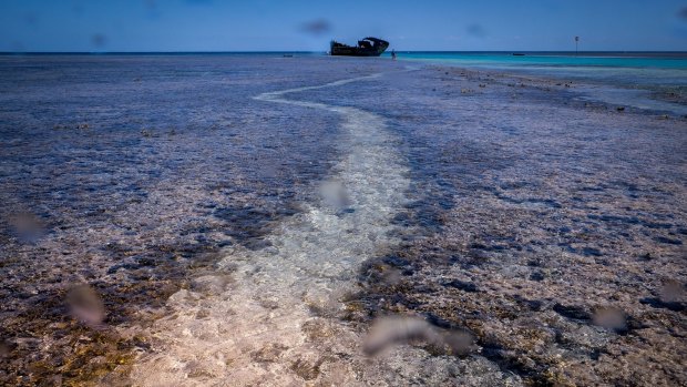 Looking dead flat at Heron Island.