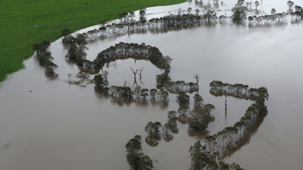 Flooded paddocks along Mt Emu Creek, south of Terang.