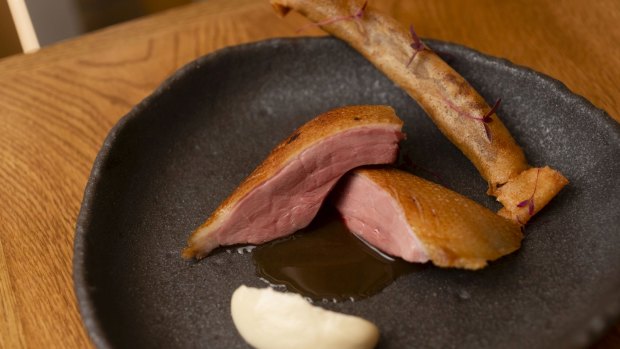 Aged duck confit leg stick, celeriac, blood plum juice.