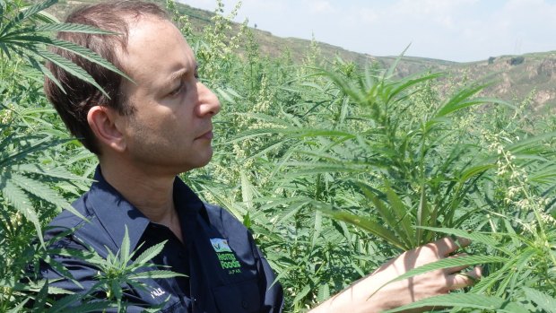 Paul Benhaim, founder of Hemp Foods Australia, is  hoping hemp products will be approved for consumption in Australia.