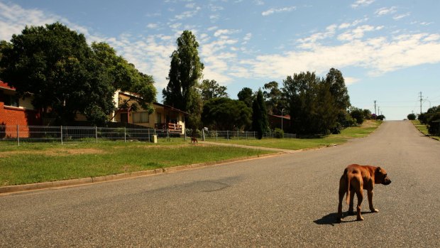 Kempsey, where the Durri Aboriginal Corporation Medical Service is located on the traditional land of the Dunghutti people.