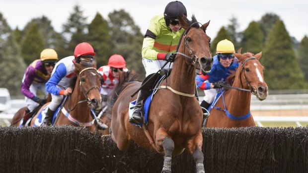 Rich Ricci, owner of Bashboy, winner of the Grand National Steeplechase in August (pictured), and Melbourne Cup runner Max Dynamite, want to see more racing in Australia.