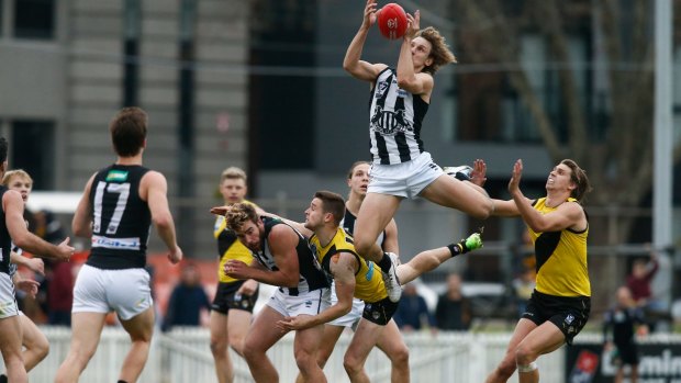 Chris Mayne takes a high mark in the VFL elimination final between Richmond and Collingwood in Port Melbourne.