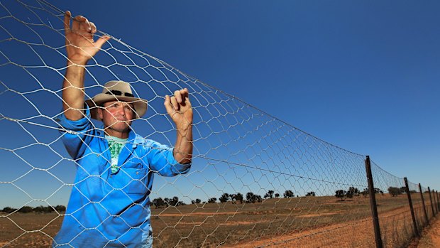 Brendan Cullen lives on the frontline, the eastern side of the dog fence that was built to stop wild dogs coming east after sheep and food. 