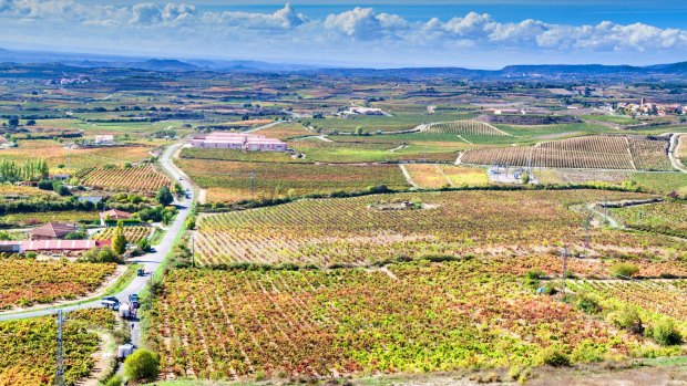 Vineyards near Laguardia village in northern Spain.
