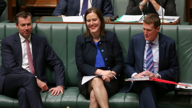 Assistant Treasurer Kelly O'Dwyer will introduce crowdfunding laws this year. 