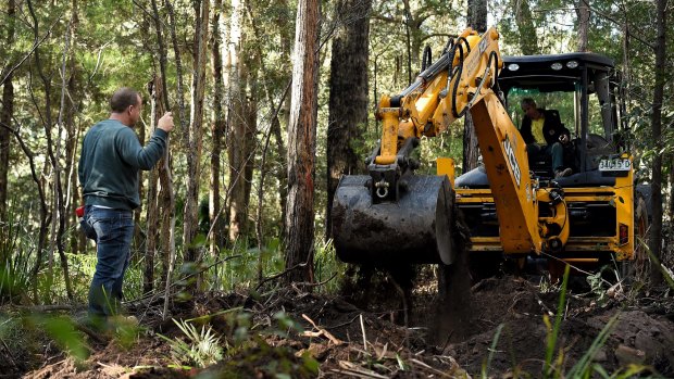 The digging resumes at the search area for the burial site of Matthew Leveson in the Royal National Park.