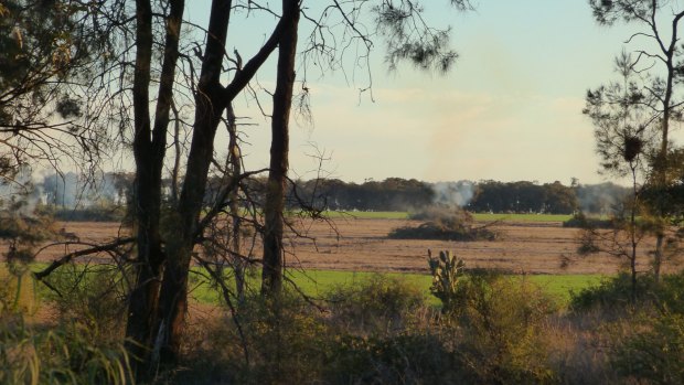 Glen Turner's partner, OEH officer Robert Strange, took this images of land clearing on the Turnbulls' property.