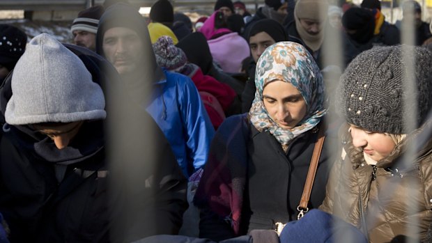 Asylum seekers at Spielfeld on the Austrian border in January 2016.