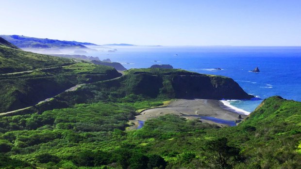 The misty Pacific Coast north of Jenner is worth taking your time over.