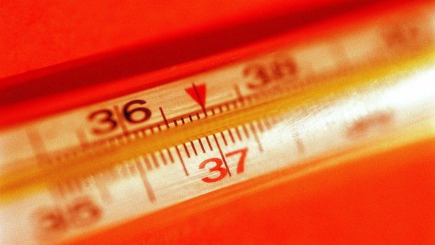 A QUT study has examined the temperature changes under different development scenarios in Brisbane.
