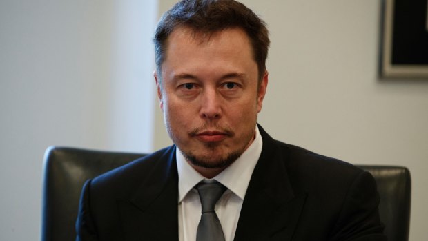 Elon Musk put last minute pressure on the President.