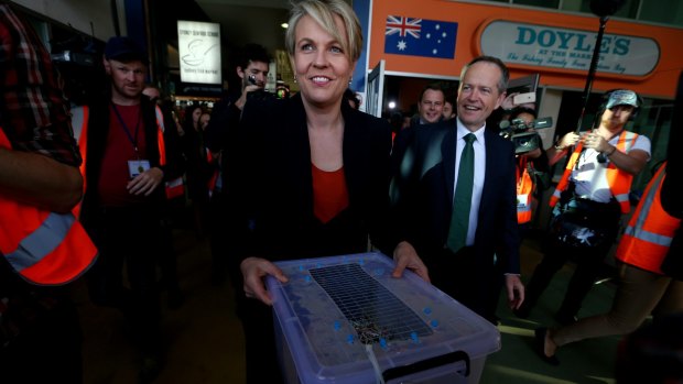 Ms Plibersek leaves with the rat left by the Chaser team.