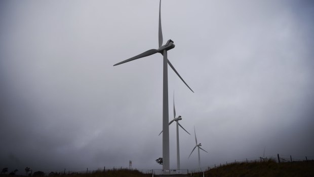 Taralga wind farm in NSW features in a controversial 'noise sensitisation' study.