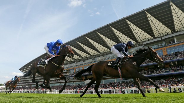 Ascot success: Curvy scored another win for super stallion Galileo with a win in the Ribblesdale Stakes at Royal Ascot.
